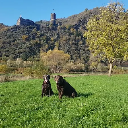 Ferienhaus Leopold Mit Burgblick An Der Mosel Burgen  Buitenkant foto