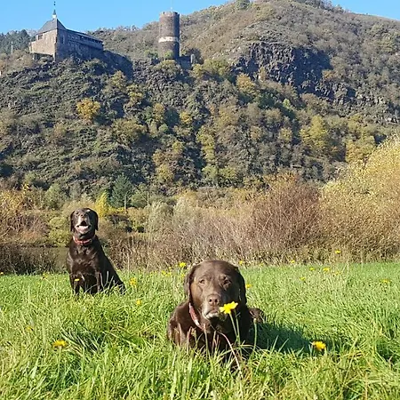 Ferienhaus Leopold Mit Burgblick An Der Mosel Burgen  Buitenkant foto