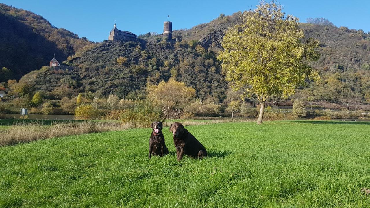 Leopold Mit Mosel- Und Burgblick * Burgen (Mayen-Koblenz)