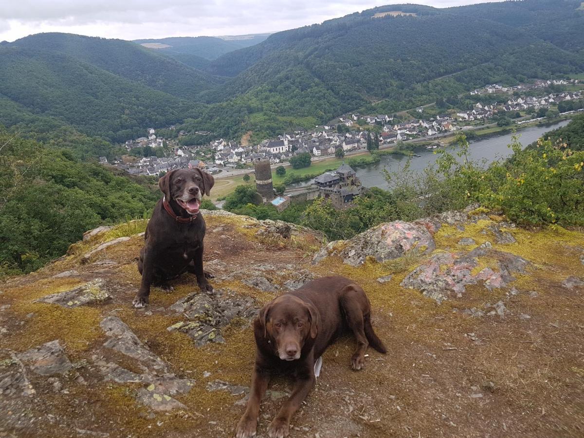 Leopold Mit Mosel- Und Burgblick Apartment *