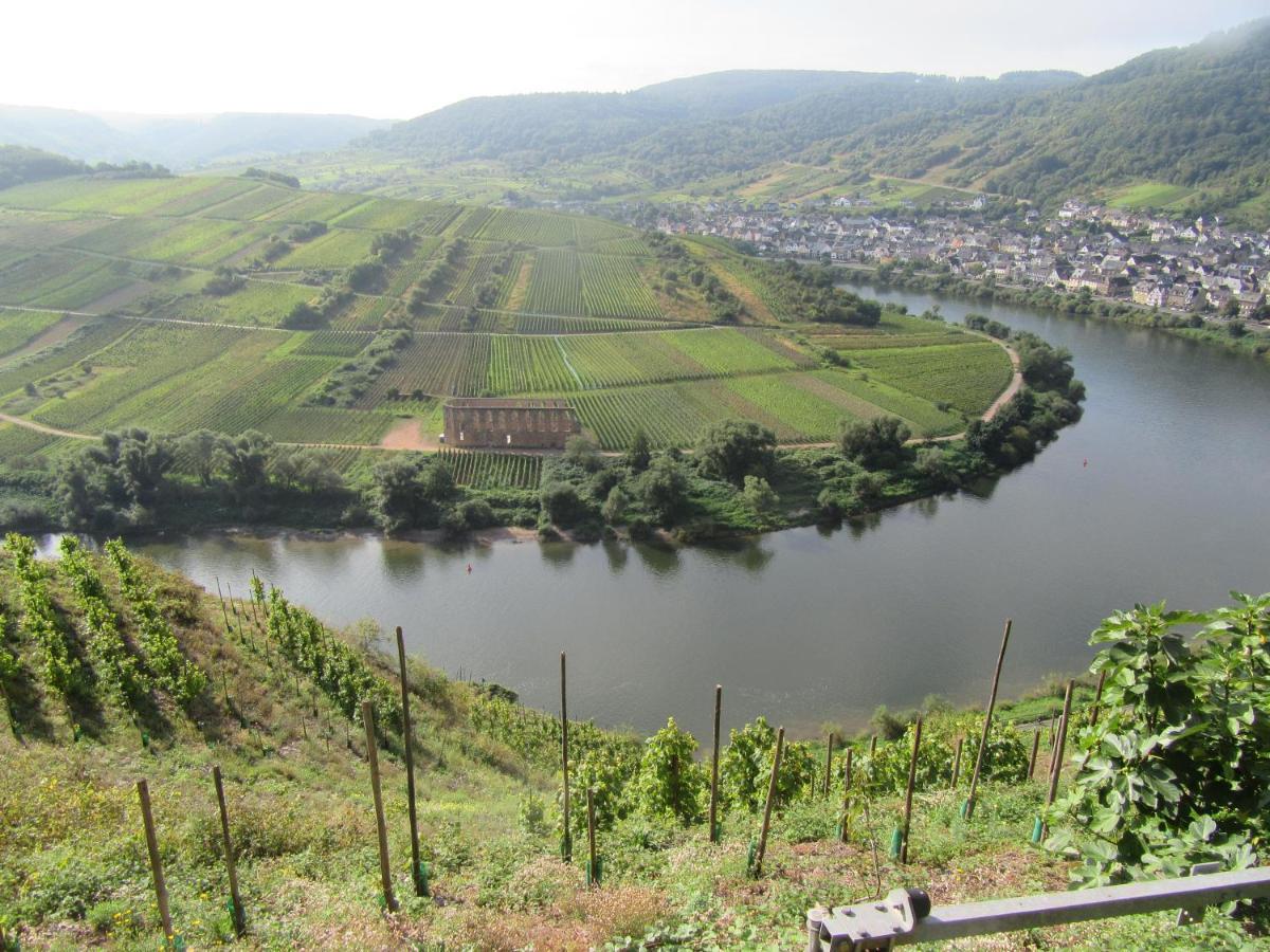 Apartment Leopold Mit Mosel- Und Burgblick