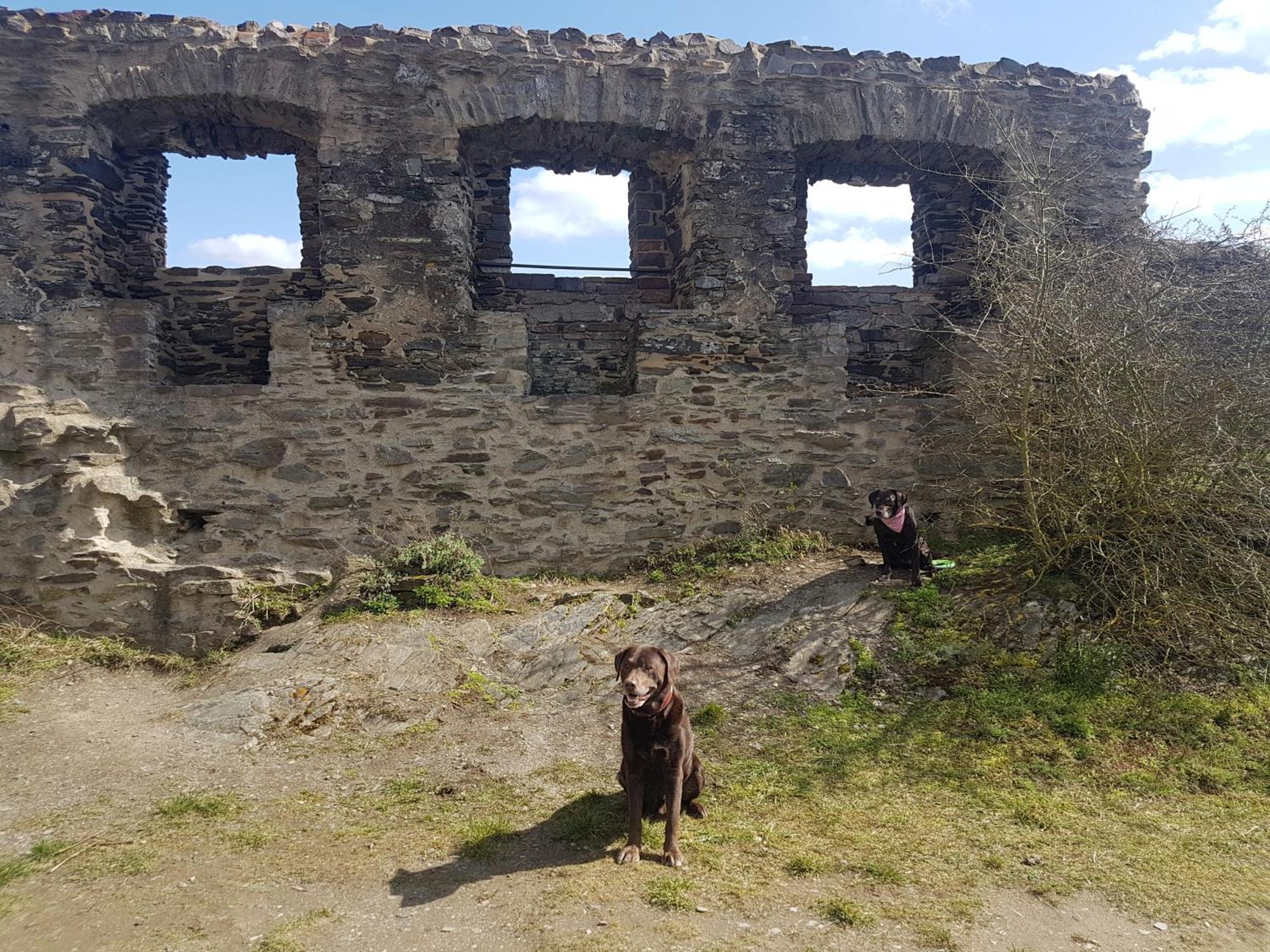 Apartment Leopold Mit Mosel- Und Burgblick