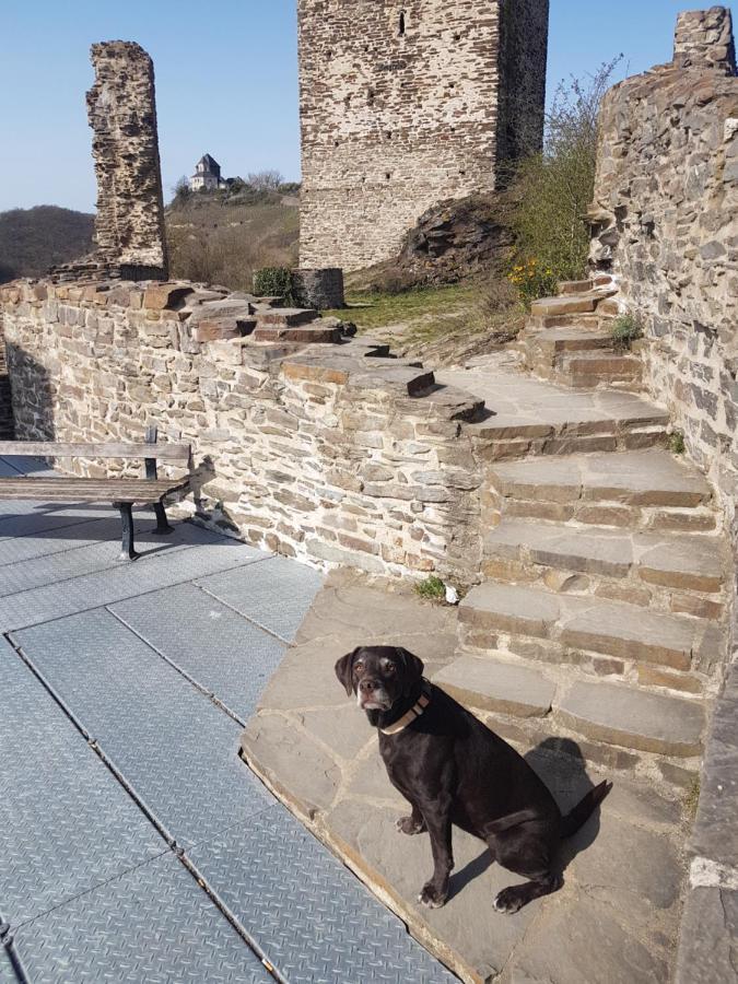 Leopold Mit Mosel- Und Burgblick * Burgen (Mayen-Koblenz)