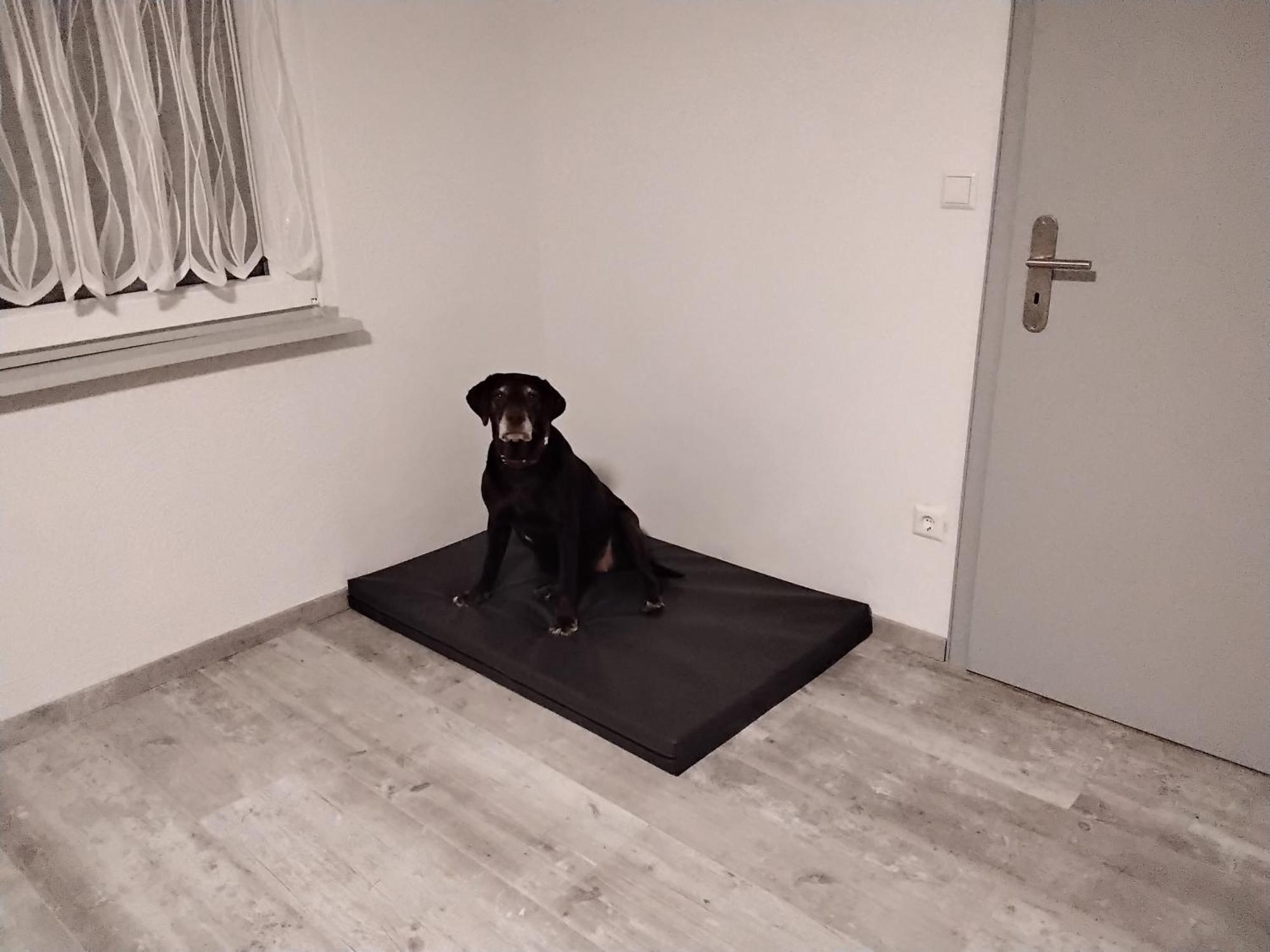 Leopold Mit Mosel- Und Burgblick Apartment *
