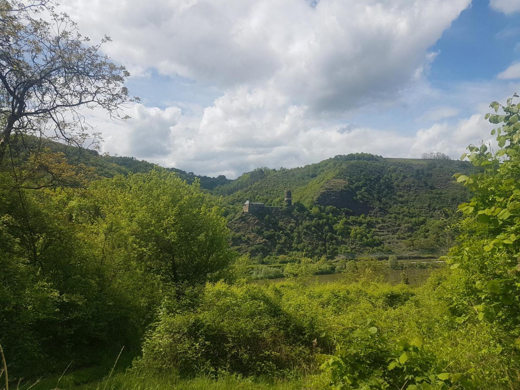 Leopold Mit Mosel- Und Burgblick * Burgen (Mayen-Koblenz)